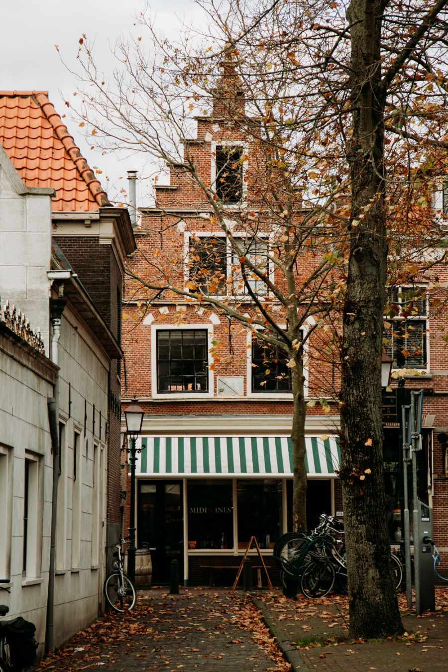 Hoorn